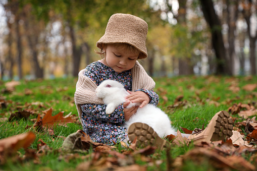 Girl hugging cute white rabbit on grass in autumn park