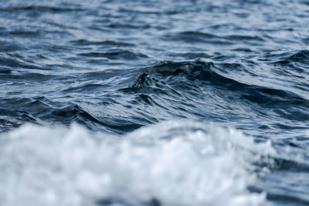 istock Slow motion close up of blue ocean water surface 1498500817