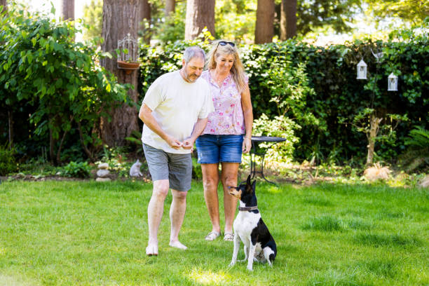 istock A couple is spending time with a dog on a backyard 1498501254