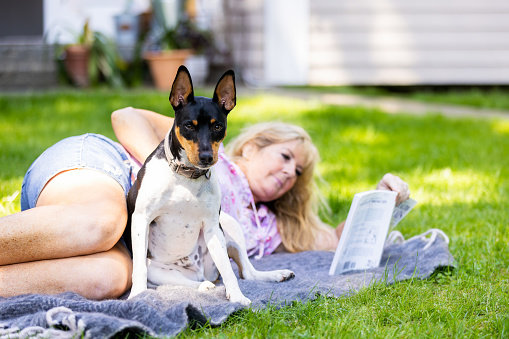 A woman is reading a book lying down on a blanket outdoors in her dog's company
