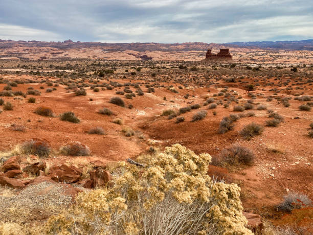istock Arches Natiomal Park, Utah, USA 1498501432