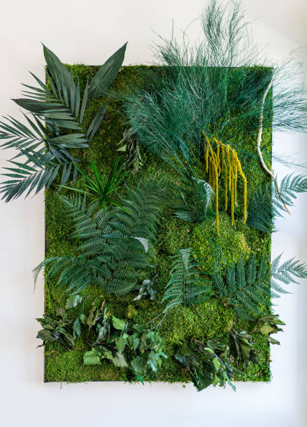 istock stabilized plant wall Jungle with flat moss and foliage 1498502386