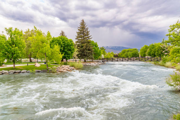 istock Park along the Truckee River 1498502558