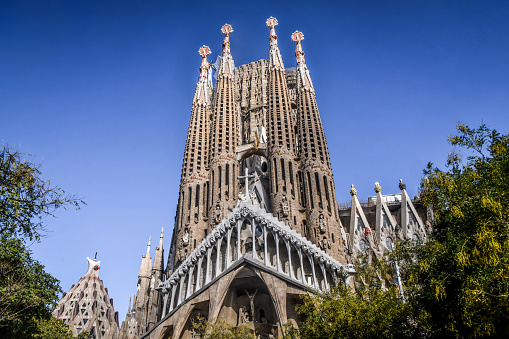 Barcelona, Spain -  12th of November, 2022. Low Angle View From Beneath Trees To Sagrada Família