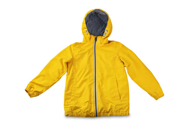 istock Yellow jacket on a white isolated background 1498502867