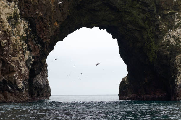 Landscape of arch in national park Isla Ballestas in Peru