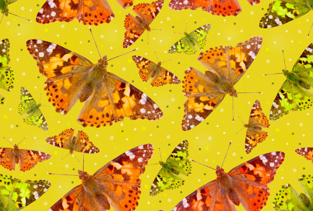 Seamless pattern with butterflies on a yellow background.