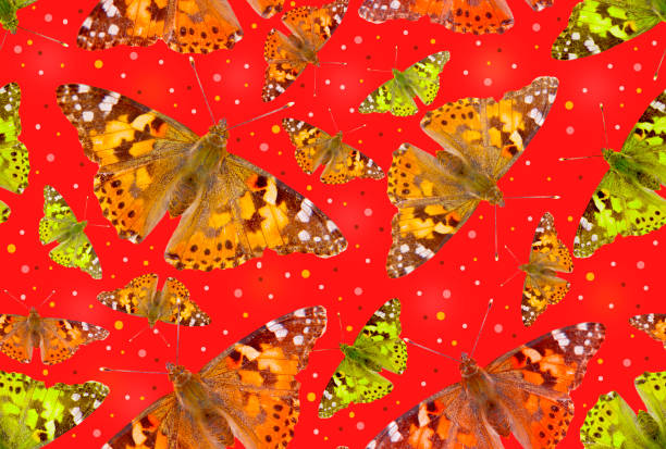Seamless pattern with butterflies of different sizes on a red background.