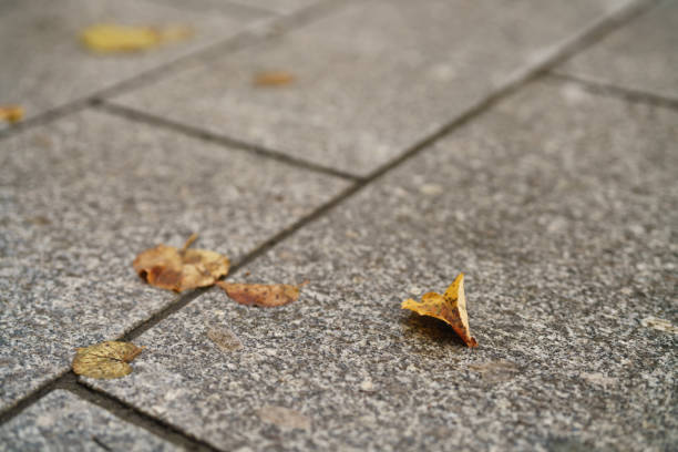 autumn leaves on old stone pavement background, high detailed