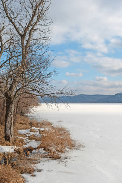 istock Frozen River and a Frozen Shore 1498510764