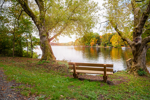 Empty wooden bench facing a lake with wooded shores in autumn. Concept of loneliness. Huntsville, ON, Canada.