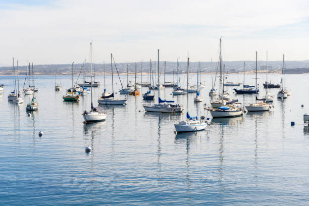 Sailing boats moored to buoys in a harbour on a misty autumn morning. Monterey, CA, USA.