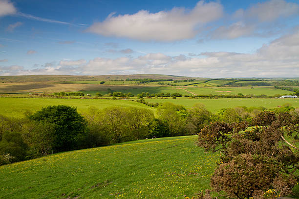 istock Exmoor National Park near Lynton 149851500