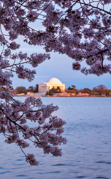 istock jefferson memorial at sunset 1498518615