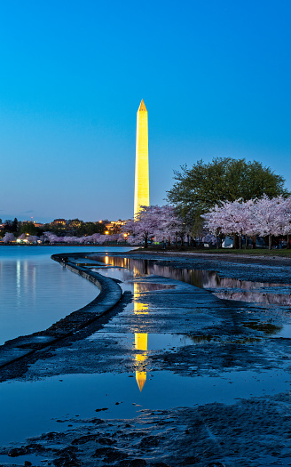 Washington Monument Reflection Night