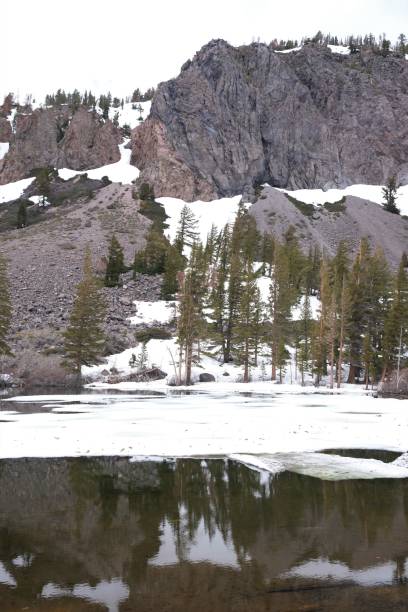 istock Twin Lakes in Mammoth California 1498520543