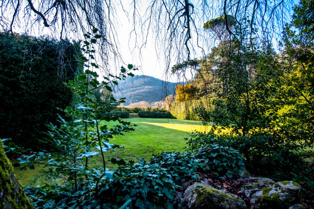 istock 2023 03 18 Valsanzibio secret garden 1498521863