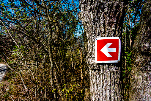 red sign with white arrow indicating the direction to the left attached to a tree in the woods in Valsanzibio Padova Veneto Italy