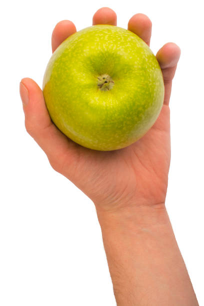 in a hand a green apple isolated on white isolated background