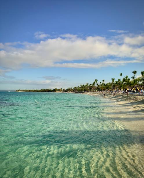 istock Dominican Republic beach 1498539174