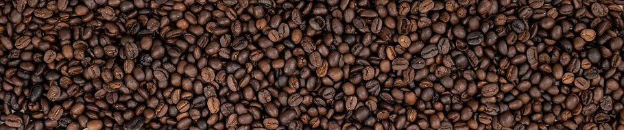 Fresh roasted brown coffee beans panoramic background
