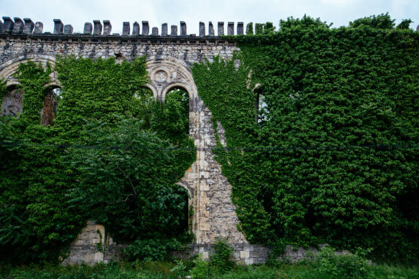 Old ancient abandoned ruins of historical building overgrown by plants.
