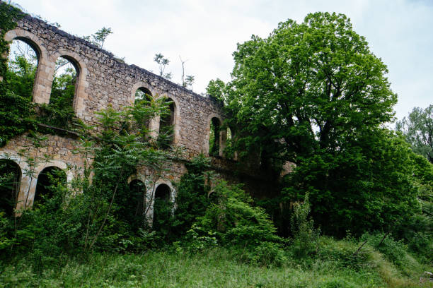 istock Old ancient abandoned ruins of historical building overgrown by plants 1498542012