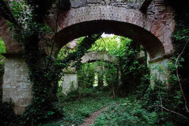 Old ancient abandoned ruins of historical building overgrown by plants.