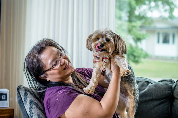 istock Harmony and Serenity: Capturing the Tender Bond Between a Woman and her Yorkshire Terrier on the Couch 1498548497