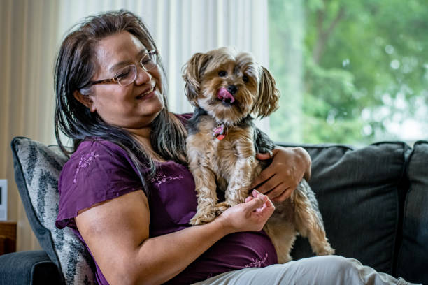 istock Harmony and Serenity: Capturing the Tender Bond Between a Woman and her Yorkshire Terrier on the Couch 1498548502
