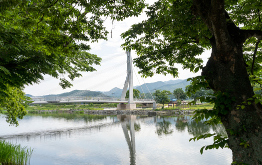 Hwasun Dundong Village Forest Jeongi Lake Park fresh green (June 6, 2023, Hwasun-gun, Jeollanam-do, Korea)