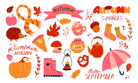 Autumn set, hand drawn elements- calligraphy, fall leaves, umbrella, pumpkin. Use for web, card, poster, cover, tag invitation sticker kit Vector illustration