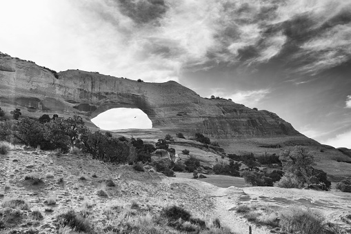 Arches National Park, Moab