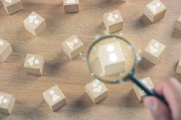 istock Selection concept. Human Resource Manager chooses new person to join an organization or support a cause. Magnifying glass zooms a cube that is best person. 1498557713