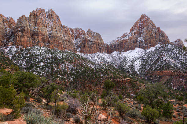 istock Zion National Park 1498559379