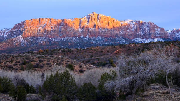 istock Zion National Park 1498559400