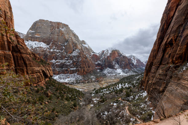 istock Zion National Park 1498559425