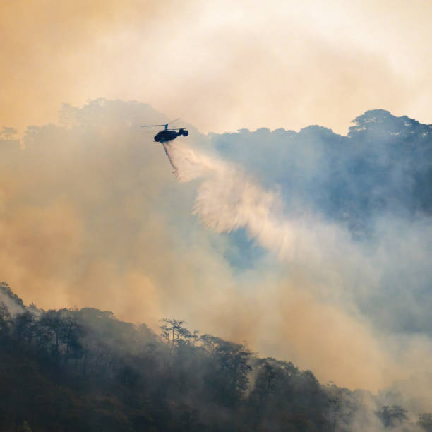 istock El Nino weather phenomenon cause drought and increase wildfire. 1498561771