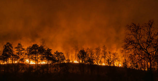 El Nino weather phenomenon cause drought and increase wildfire. stock photo