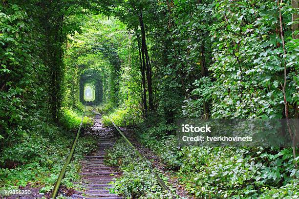 Tunnel Of Love Stock Photo - Download Image Now - Ukraine, Tunnel Of Love - Ukraine, Tunnel