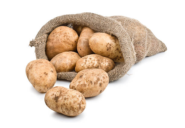 istock Raw Harvest potatoes in burlap sack 149856329