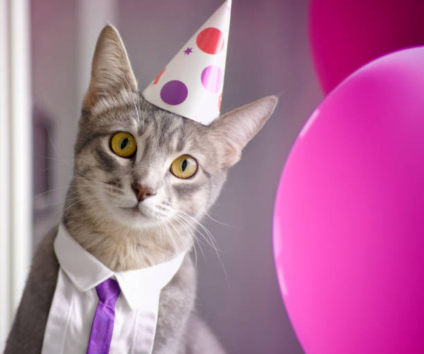 istock Funny kitten attending party with balloons 1498564282