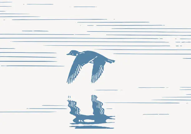 Vector illustration of Duck Flying Over Water