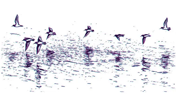 Vector illustration of Flock of Killdeer flying with Glitch Technique