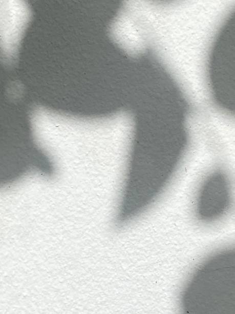 istock Leaves shadow background on wooden floor texture, leaves tree branches shade with sunlight 1498573221