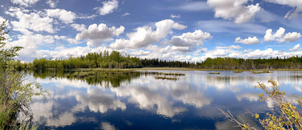 istock Bilateral Line Symmetry
- Reflection at the Lake 1498577457