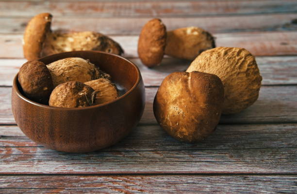 istock Mushroom Boletus over wooden background 1498579583