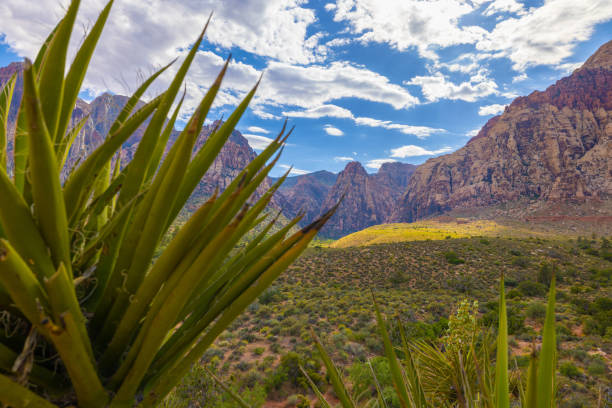 A view of Red Rock Canyon in Las Vegas, NV.