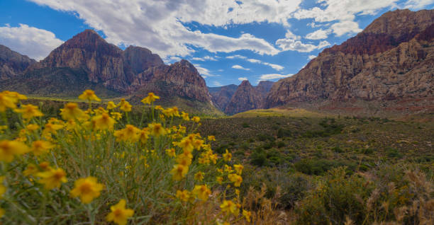 A view of Red Rock Canyon in Las Vegas, NV.