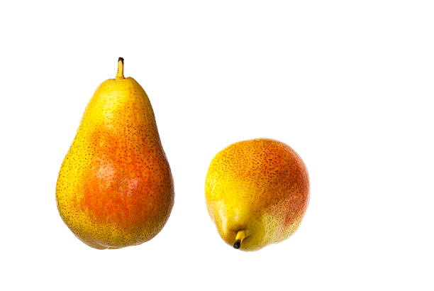 two pears stock photo